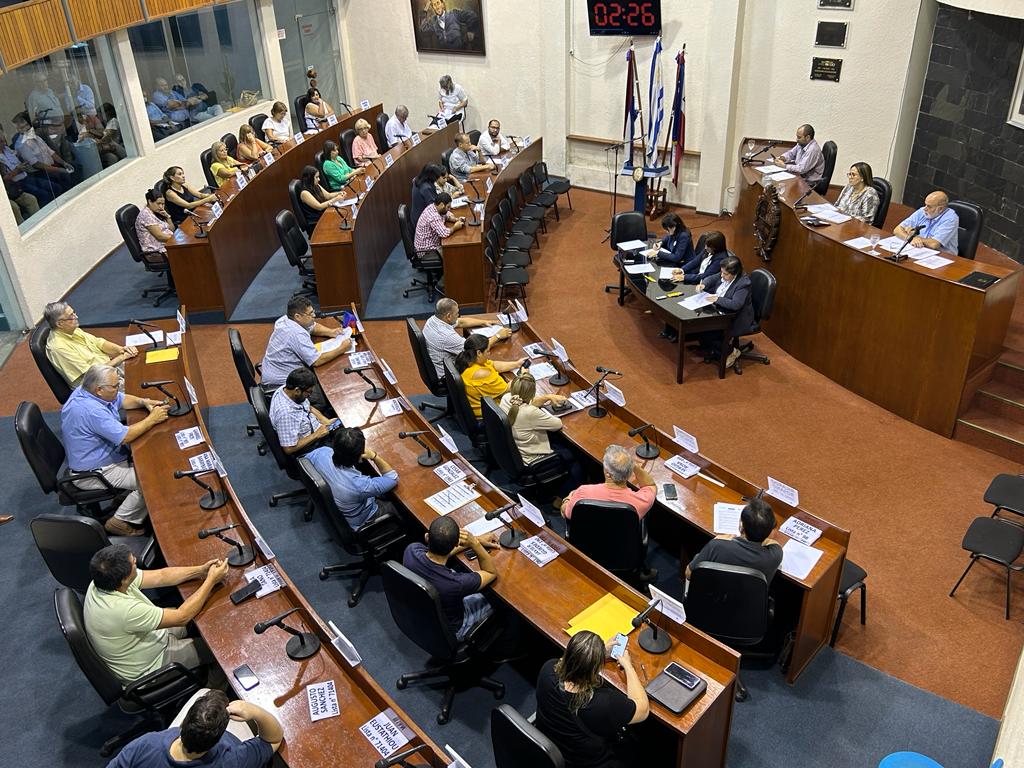 Junta otorgó tres anuncias para la Intendencia